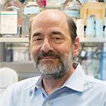 Michael Greenberg, PhD